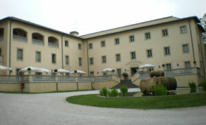 35_z_stigliano03