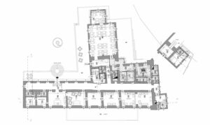 463_z_terme_pianta