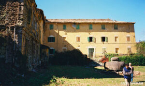 732_z_terme_30