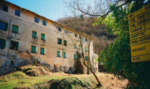734_z_terme_36