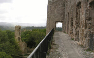505_z_altieri-orsini_40
