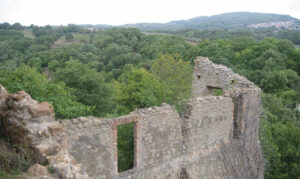 507_z_altieri-orsini_60