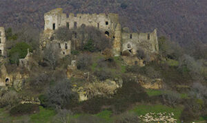 512_z_altieri-orsini_00