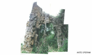 653_z_porta-cretella_12