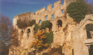 716_z_altieri-orsini_2000