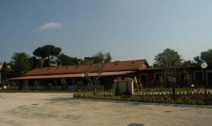 937_z_leonardis_120